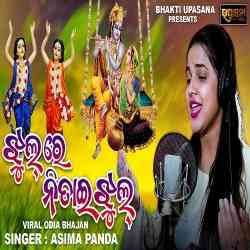 Jhul Re Nitai Jhul Asima Panda